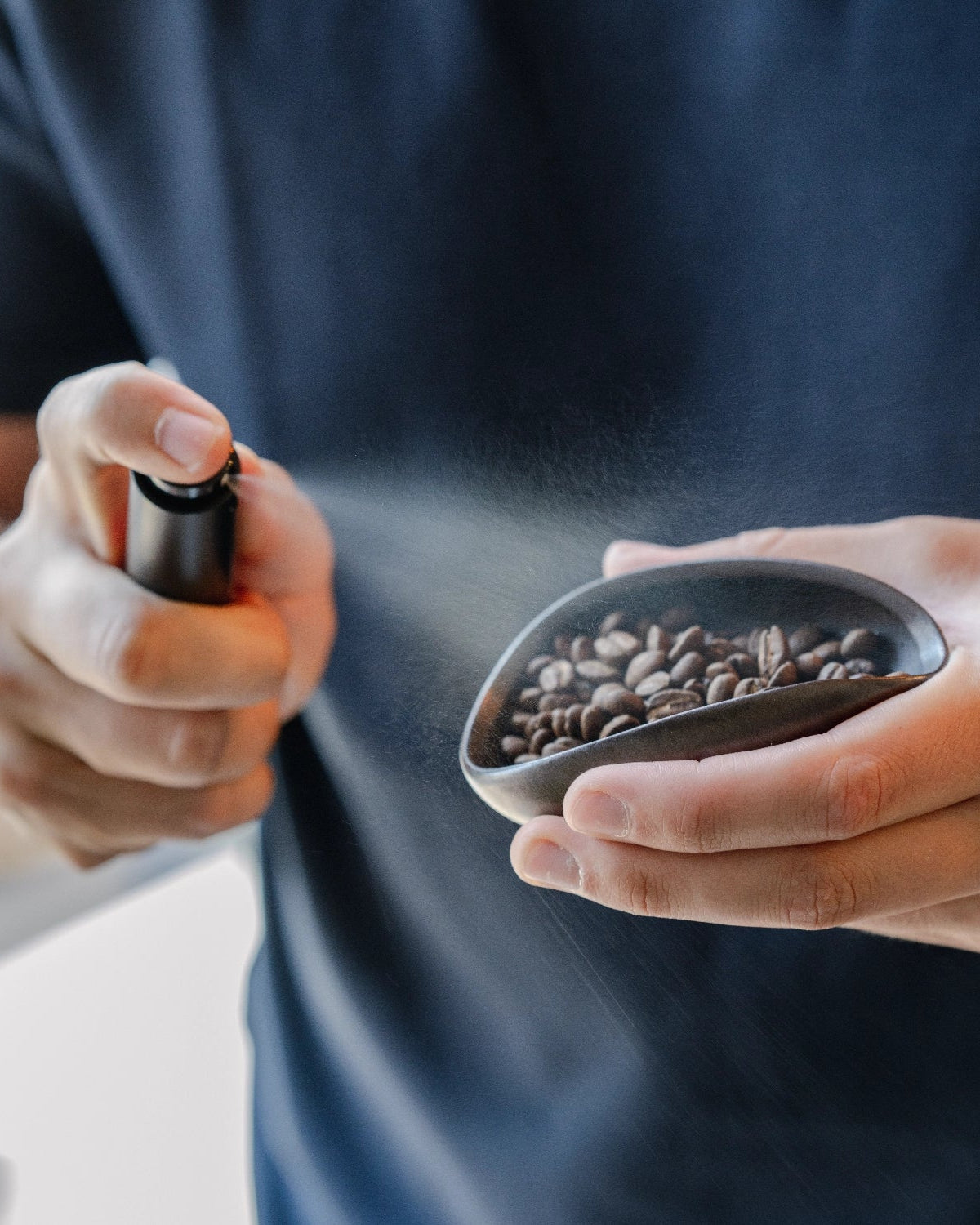 RDT-Spray zum Besprühen Ihrer Kaffeebohnen mit Wasser