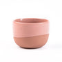 Terrakotta-rosa Cappuccino-Tasse von Barista-Essentials aus Porzellan, auf weißem Hintergrund