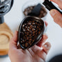 Kaffeedosierfach von Barista-Essentials bei Verwendung von RDT-Spray mit Niche-Mühle im Hintergrund