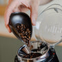 Kaffeedosierer zum Einfüllen von Kaffeebohnen in die Niche-Kaffeemühle