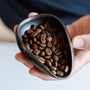 Feuchte Kaffeebohnen und Kaffeetablett nach Gebrauch RDT-Sprühflasche von Barista-Essentials