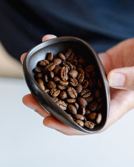 Feuchte Kaffeebohnen und Kaffeetablett nach Gebrauch RDT-Sprühflasche von Barista-Essentials